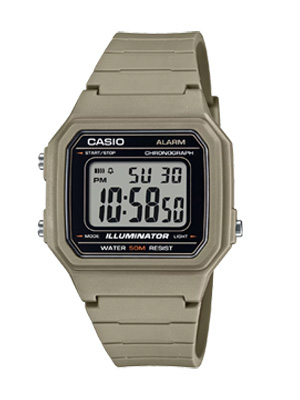 RELOJ CASIO W-217H-5AVDF