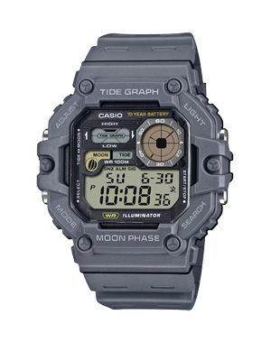 RELOJ CASIO WS-1700H-8AVDF