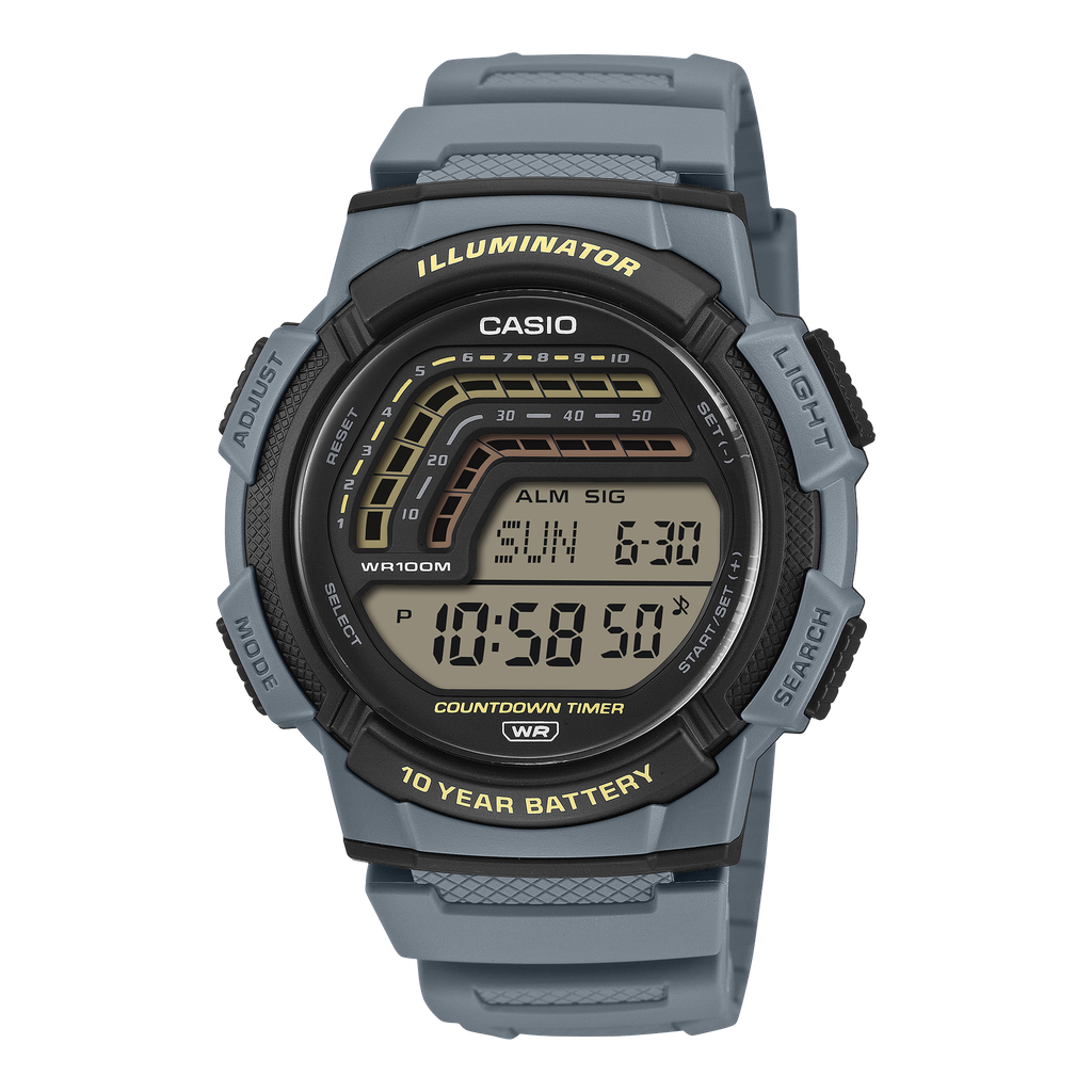 RELOJ CASIO WS-1800-2AVDF